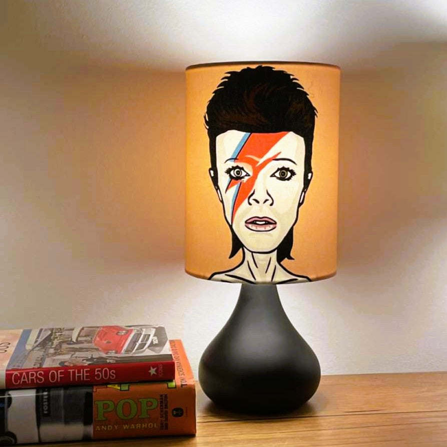 
                  
                    Ziggy Shade & Base Set
                  
                