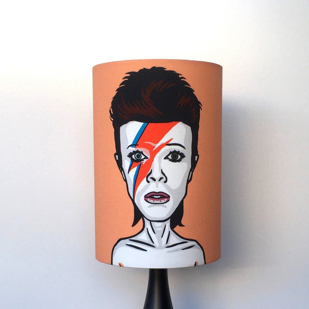 
                  
                    Ziggy Shade & Base Set
                  
                